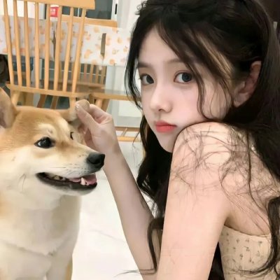 缉拿杨枪枪